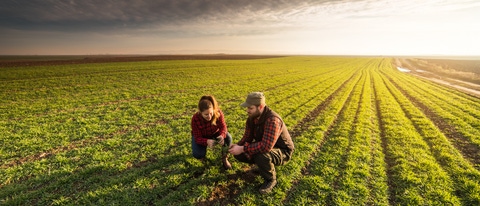AR Jóvenes agricultores examinando trigo
