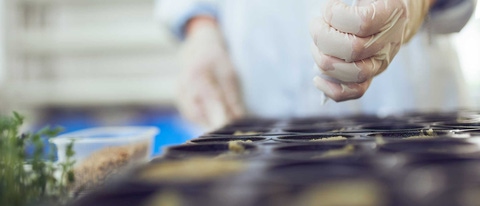 Seed research and innovation in lab Seed research and innovation in lab