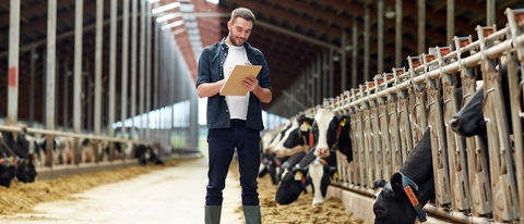 agriculture industry, farming, people and animal husbandry concept - happy smiling young man or farmer with clipboard and cows in cowshed on dairy farm; Shutterstock ID 562305472; Projekt-/Jobnummer: - agriculture industry, farming, people and animal husbandry concept - happy smiling young man or farmer with clipboard and cows in cowshed on dairy farm; Shutterstock ID 562305472; Projekt-/Jobnummer: -