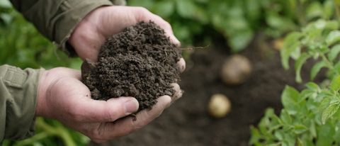 Homem segurando terra nas mãos BASF Brasil