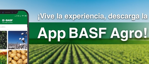 Vive la experiencia, descarga la App BASF Agro