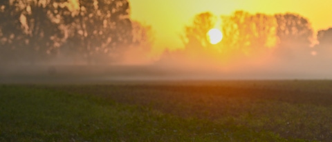 Puesta de sol y gramo BASF Argentina