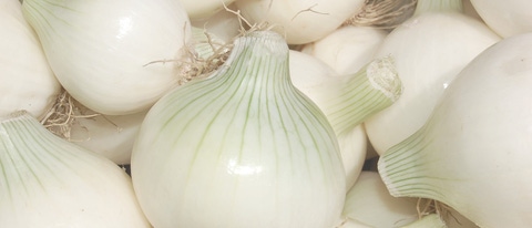 Primer plano de cebollas Primer plano de cebollas