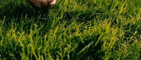 Hand on grass