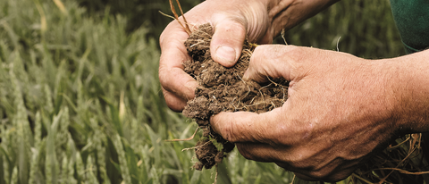 Soil in the hands of a farmer with crops in background