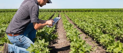 The focus areas for the Brazilian AgVentures II fund include software solutions for agriculture. The fund is managed by São Paulo-based SP Ventures and focuses on startups from the Latin American agricultural and food (AgFood) sector. BASF Venture Capital is one of the main investors in the first closing of the fund.