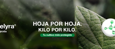 AR-melyra-hojaxhoja-BANNER AR-melyra-hojaxhoja-BANNER