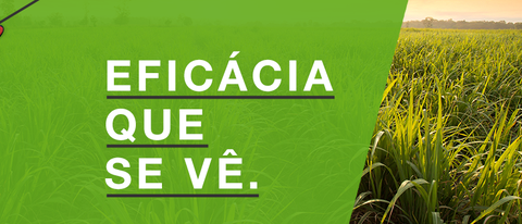 Banner verde com praga ao lado eficácia que você vê a plantação BASF Brasil Banner verde com praga ao lado eficácia que você vê a plantação BASF Brasil