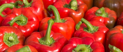 Chile rojos con toques de verde BASF Mexico