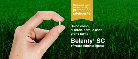 Belanty mano sosteniendo grano de arroz BASF Colombia