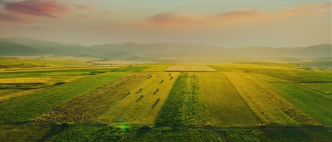 Aerial view of green and yellow fields under a vibrant sunset sky. 