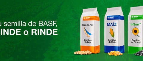 AR semillas BASF Rinde o RInde BANNER AR semillas BASF Rinde o RInde BANNER