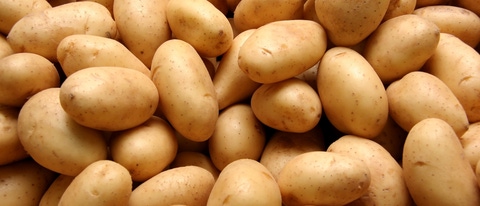 Heap of raw potatoes in a shop; Shutterstock ID 13908118; purchase_order:BELGIUM_V.Frankard