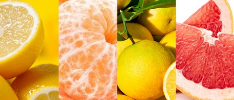 AR-Cultivo-frutales-citricos: Limon, mandarina, naranja, pomelo AR-Cultivo-frutales-citricos: Limon, mandarina, naranja, pomelo