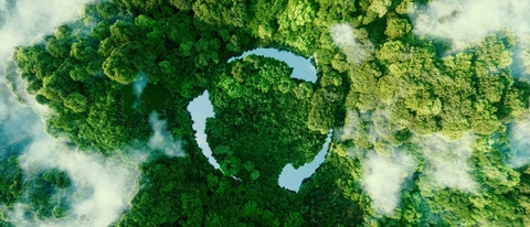 Forest with Recycling Symbol Forest with Recycling Symbol