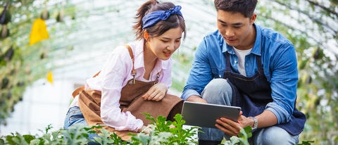Dos personas trabajando en el campo Dos personas trabajando en el campo