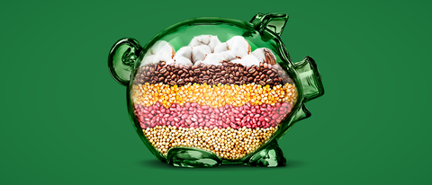 Banner ilustrativo porco de vidro com sementes dentro BASF Brasil