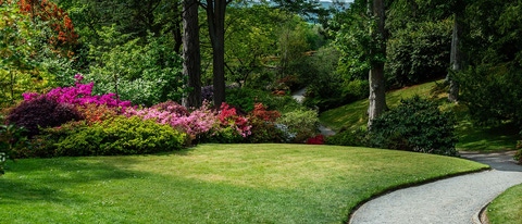 Beautiful Garden with blooming trees during spring time, Wales