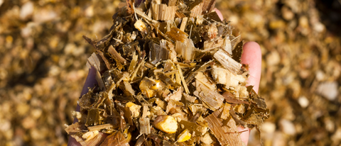 Mãos segurado inoculante BASF Brasil