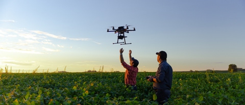 Drone no copyright in a soybean field, Drone no copyright in a soybean field,