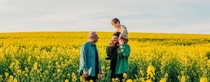 Father carrying son on shoulder next to grandfather in rapeseed field