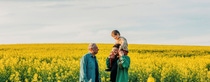 Un padre lleva a su hijo al hombro junto a su abuelo en un campo de colza