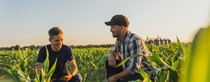 Smiling male farmer and agronomist with tablet computer examining young green corn plants in agricultural field