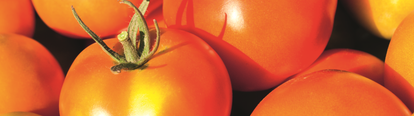imagen de tomates