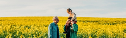 Father carrying son on shoulder next to grandfather in rapeseed field