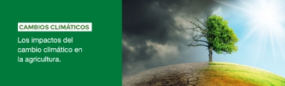 AR-Agricultura-y-cambio-climático-BANNER