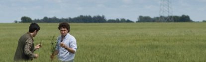 Dos hombres en medio de la plantacion BASF Argentina