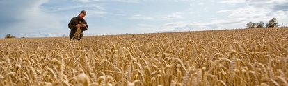 Auf dem englischen Hof „The Grange" kombiniert Landwirt Andrew Pitts modernen Nahrungsmittelanbau mit dem Schutz der Artenvielfalt. Der landwirtschaftliche Betrieb ist Teil des europäischen Farm Network, einer von BASF initiierten Partnerschaft. Landwirte, Agrar- und Naturschutzexperten teilen ihr Wissen, entwickeln Maßnahmen für eine optimale nachhaltige Landwirtschaft und testen diese fortwährend.Andrew Pitts prüft die Qualität und Quantität des Ertrags, denn nur durch Profitabilität ist eine nachhaltige Produktion möglich. 
