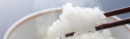 A picture of a bowl filled with rice