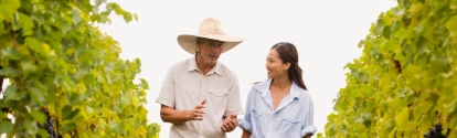 Hombre y mujer caminando entre vides