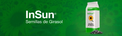 AR INSUN Semillas de Girasol BANNER