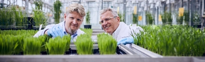 Worldwide, BASF researchers work on new agricultural solutions that enable balance between agricultural productivity, environmental protection and society’s needs.