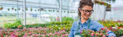 Florists woman working with flowers in a greenhouse. Young woman working in flower garden. Woman entrepreneur