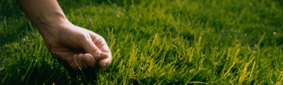 Hand on grass