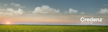 Credez plantacio con cielo azul  BASF Argentina