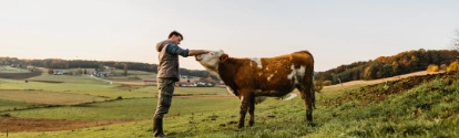 Young man stroking cow in field