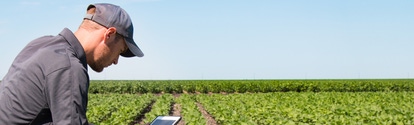 hombre usando tableta en una plantación