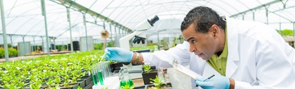 Focused African American senior botanists concentrates while stuying plant life in a greenhouse laboratory. He is dropping liquid into a test tube. He is holding a clipboard. A microscope is on the table. Green plants surround him. He is wearing a white lab coat and protective  gloves.