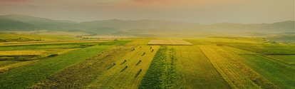 Aerial view of green and yellow fields under a vibrant sunset sky. 