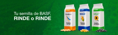 AR semillas BASF Rinde o RInde BANNER