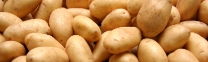 Heap of raw potatoes in a shop; Shutterstock ID 13908118; purchase_order:BELGIUM_V.Frankard