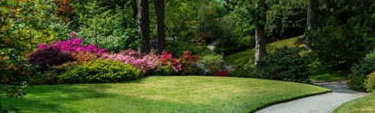Beautiful Garden with blooming trees during spring time, Wales