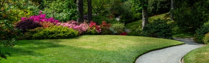 Beautiful Garden with blooming trees during spring time, Wales