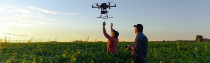 Drone no copyright in a soybean field,