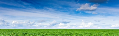 Gran plantación de soya y cielo azul BASF