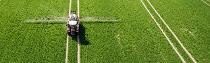 Campo siendo cosechado por cosechadora